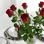 Apartman Rusula Zára