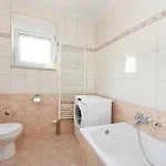 Rusula Zára
